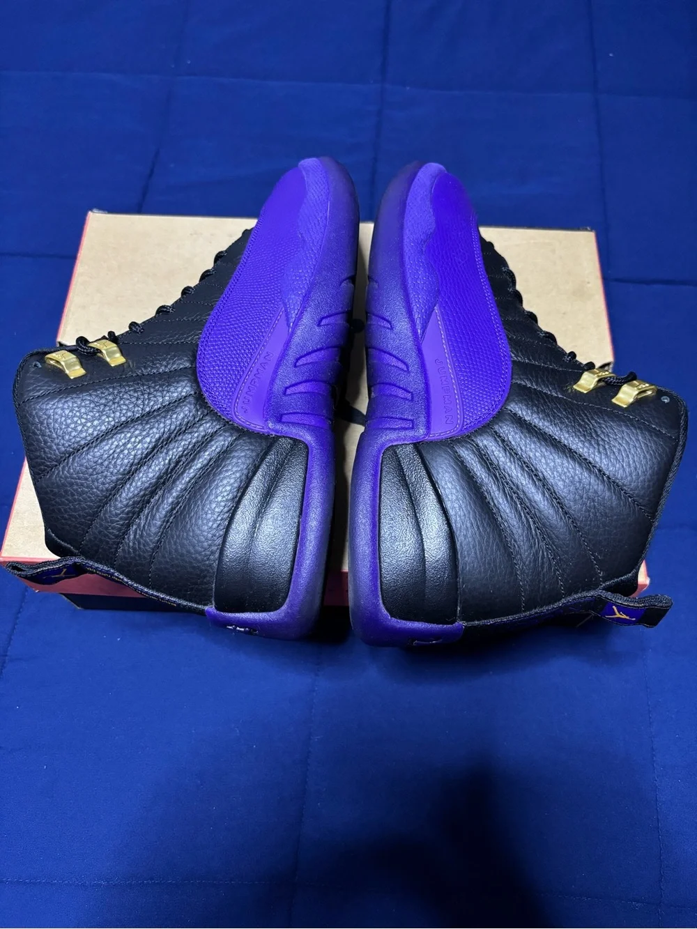 Jordan 12 Retro Field Purple 2023 Size 11.5